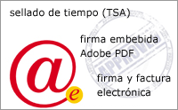 firma electronica